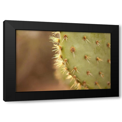 Cactus II Black Modern Wood Framed Art Print by Millet, Karyn
