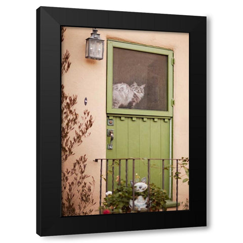 Kitty in the Window Black Modern Wood Framed Art Print by Millet, Karyn