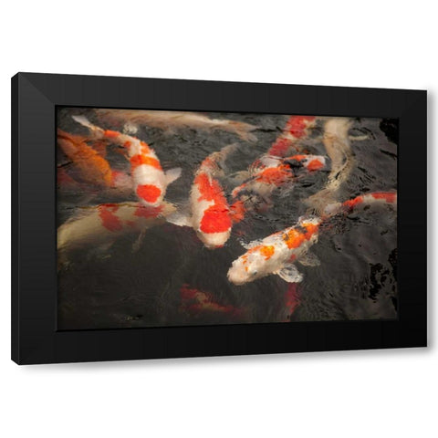 Koi I Black Modern Wood Framed Art Print by Millet, Karyn