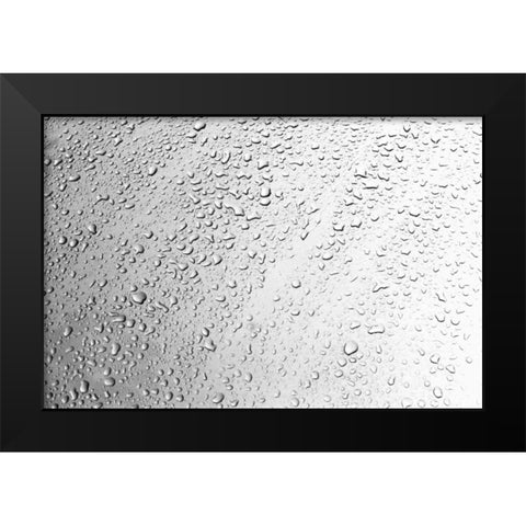 Rain Drops II Black Modern Wood Framed Art Print by Millet, Karyn