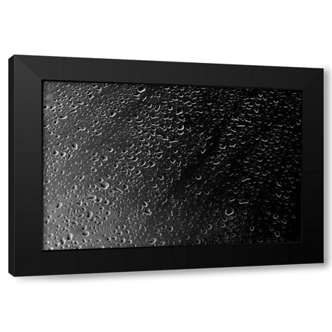 Rain Drops IV Black Modern Wood Framed Art Print with Double Matting by Millet, Karyn
