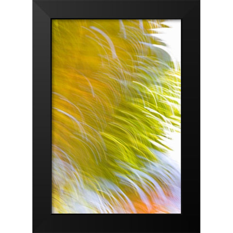 In Motion I Black Modern Wood Framed Art Print by Millet, Karyn