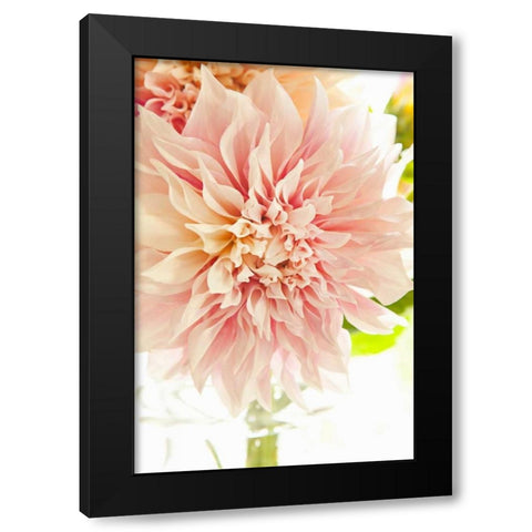 Pink Dahlia I Black Modern Wood Framed Art Print with Double Matting by Millet, Karyn