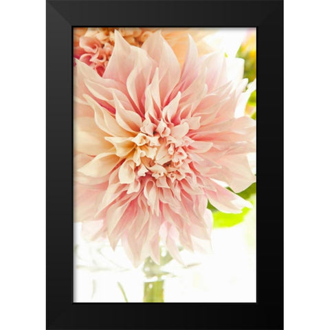 Pink Dahlia I Black Modern Wood Framed Art Print by Millet, Karyn