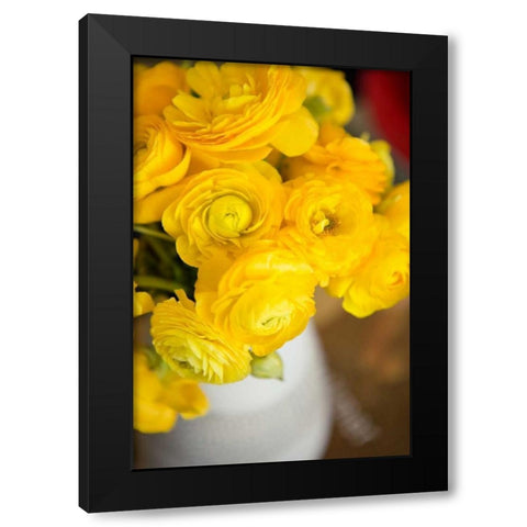 Yellow Ranunculus Black Modern Wood Framed Art Print by Millet, Karyn