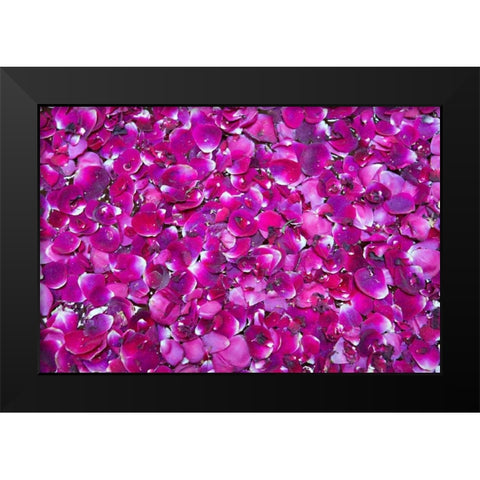 Pink Petals III Black Modern Wood Framed Art Print by Millet, Karyn