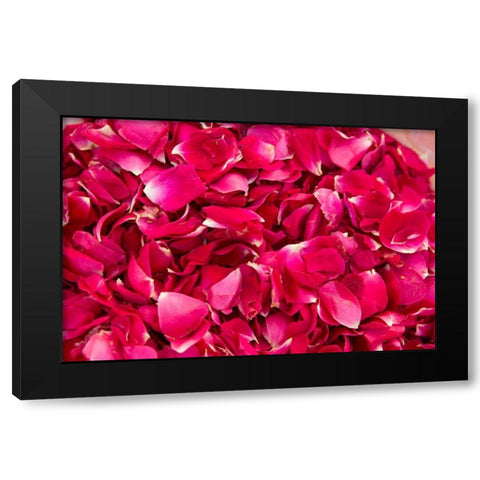 Pink Petals IV Black Modern Wood Framed Art Print with Double Matting by Millet, Karyn