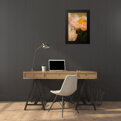 Peach Peonies II Black Modern Wood Framed Art Print by Millet, Karyn
