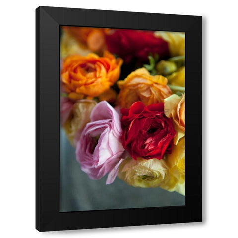 Ranunculus II Black Modern Wood Framed Art Print with Double Matting by Millet, Karyn