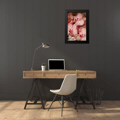 Orchid II Black Modern Wood Framed Art Print by Millet, Karyn