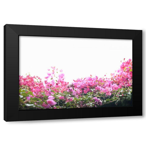 Floral Shrubs Black Modern Wood Framed Art Print by Millet, Karyn