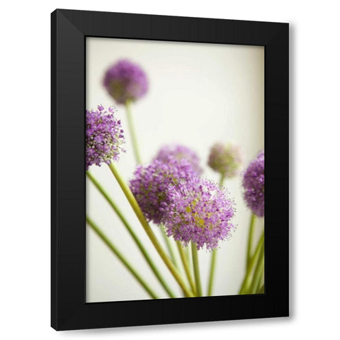 Blossoms II Black Modern Wood Framed Art Print with Double Matting by Millet, Karyn