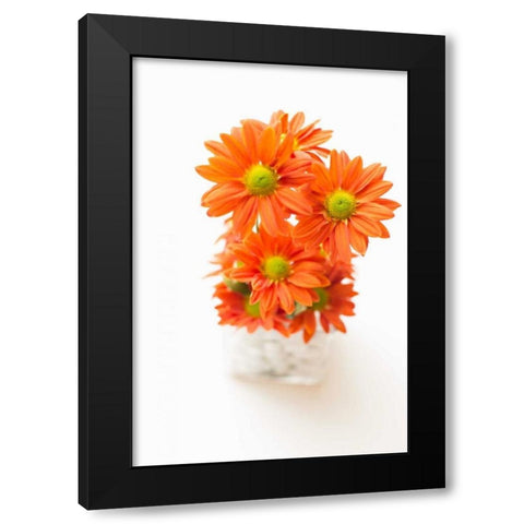 Spring Bouquet Black Modern Wood Framed Art Print with Double Matting by Millet, Karyn