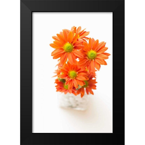 Spring Bouquet Black Modern Wood Framed Art Print by Millet, Karyn