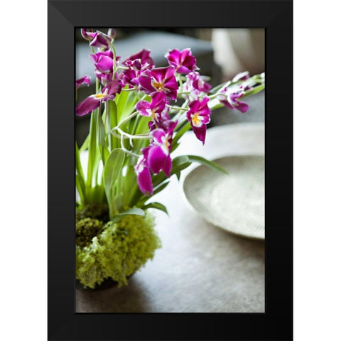 Orchid III Black Modern Wood Framed Art Print by Millet, Karyn