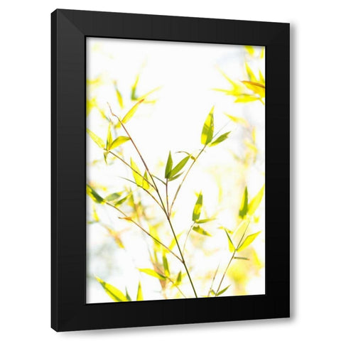 Bamboo I Black Modern Wood Framed Art Print with Double Matting by Millet, Karyn