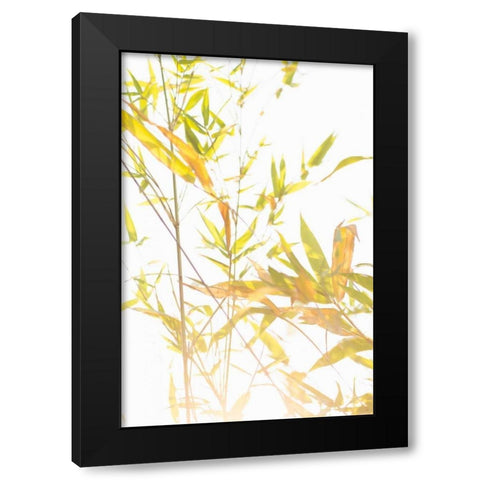 Bamboo I Black Modern Wood Framed Art Print with Double Matting by Millet, Karyn