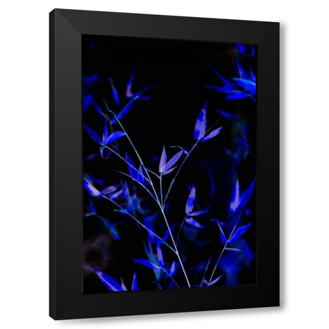 Bamboo at Night I Black Modern Wood Framed Art Print by Millet, Karyn