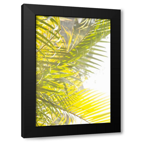 Palm Fonds Black Modern Wood Framed Art Print with Double Matting by Millet, Karyn