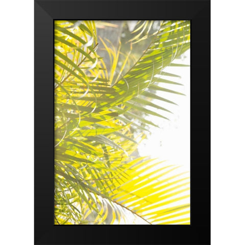 Palm Fonds Black Modern Wood Framed Art Print by Millet, Karyn