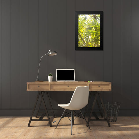 Palm Fonds II Black Modern Wood Framed Art Print by Millet, Karyn
