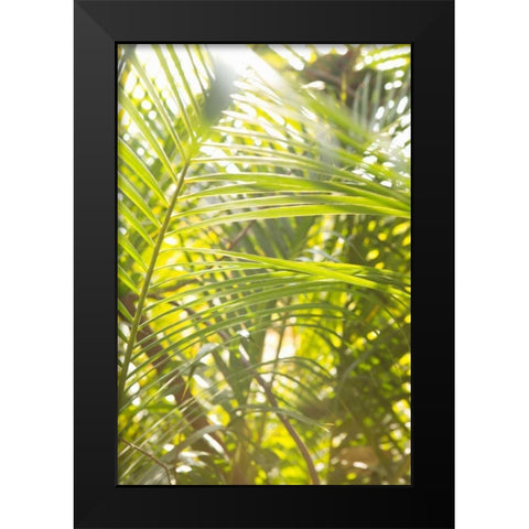 Palm Fonds II Black Modern Wood Framed Art Print by Millet, Karyn