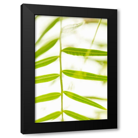 Palm Fonds III Black Modern Wood Framed Art Print by Millet, Karyn