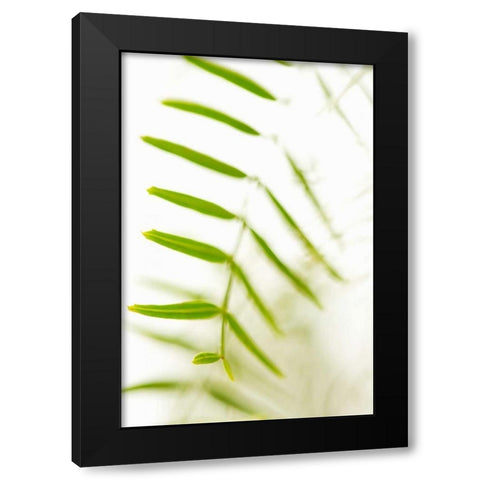 Palm Fonds IV Black Modern Wood Framed Art Print by Millet, Karyn