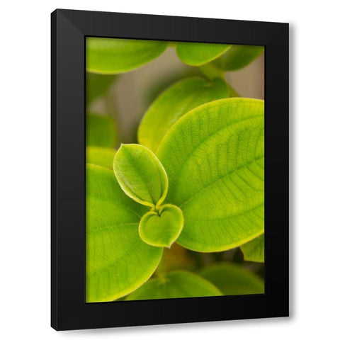 Tropical Leaves I Black Modern Wood Framed Art Print by Millet, Karyn