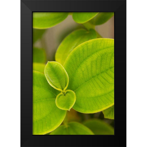Tropical Leaves I Black Modern Wood Framed Art Print by Millet, Karyn
