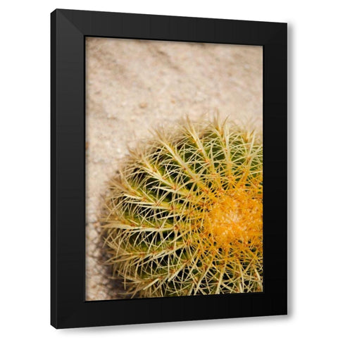 Cactus Black Modern Wood Framed Art Print by Millet, Karyn