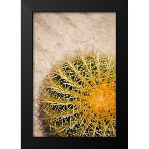 Cactus Black Modern Wood Framed Art Print by Millet, Karyn