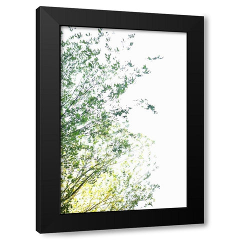 Trees I Black Modern Wood Framed Art Print with Double Matting by Millet, Karyn