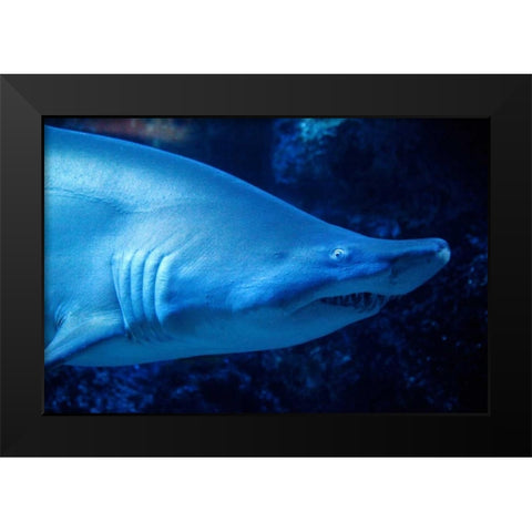 Shark Black Modern Wood Framed Art Print by Millet, Karyn