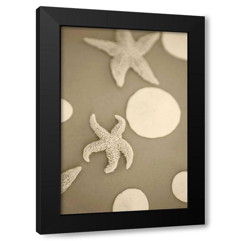 Starfish and Sand Dollars I Black Modern Wood Framed Art Print by Millet, Karyn