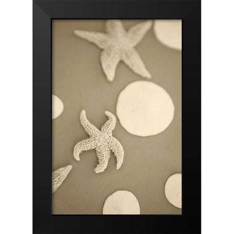 Starfish and Sand Dollars I Black Modern Wood Framed Art Print by Millet, Karyn