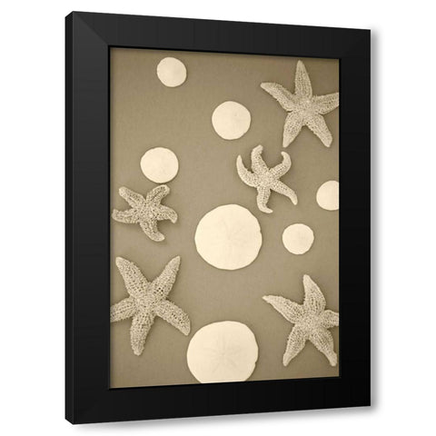 Starfish and Sand Dollars II Black Modern Wood Framed Art Print by Millet, Karyn