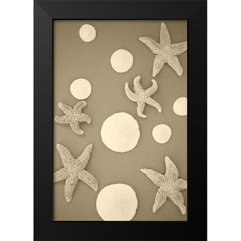 Starfish and Sand Dollars II Black Modern Wood Framed Art Print by Millet, Karyn