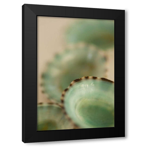 Sea Shells IV Black Modern Wood Framed Art Print with Double Matting by Millet, Karyn