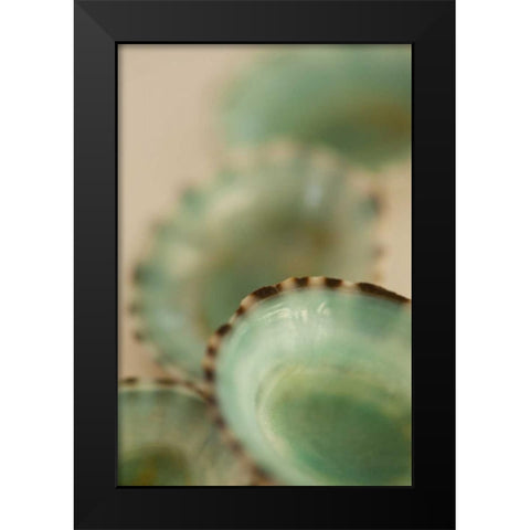 Sea Shells IV Black Modern Wood Framed Art Print by Millet, Karyn