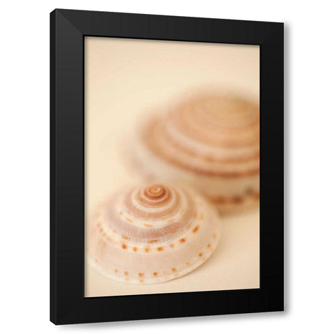 Sea Shells V Black Modern Wood Framed Art Print with Double Matting by Millet, Karyn