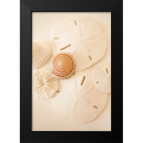 Shells and Dollars Black Modern Wood Framed Art Print by Millet, Karyn