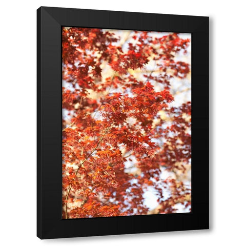 Fall Leaves Black Modern Wood Framed Art Print by Millet, Karyn