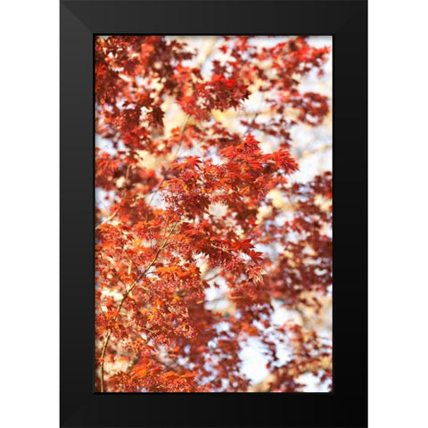 Fall Leaves Black Modern Wood Framed Art Print by Millet, Karyn