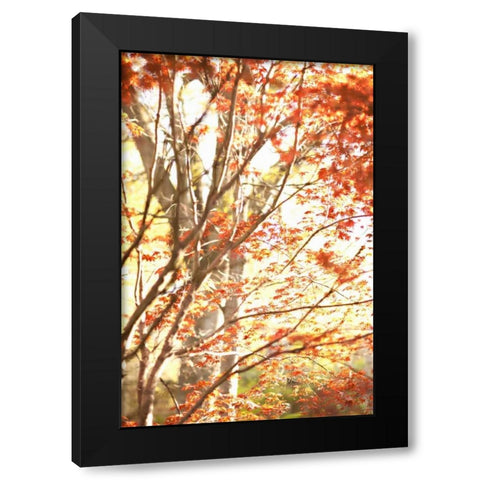 Autumn Leaves Black Modern Wood Framed Art Print by Millet, Karyn