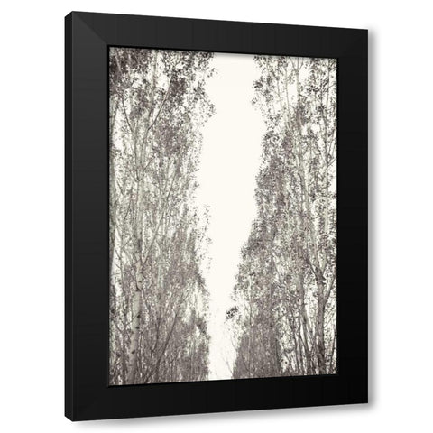 Trees III Black Modern Wood Framed Art Print by Millet, Karyn