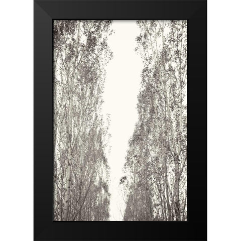 Trees III Black Modern Wood Framed Art Print by Millet, Karyn
