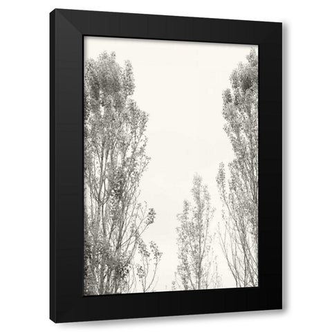 Trees IV Black Modern Wood Framed Art Print with Double Matting by Millet, Karyn