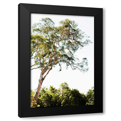 Trees V Black Modern Wood Framed Art Print by Millet, Karyn