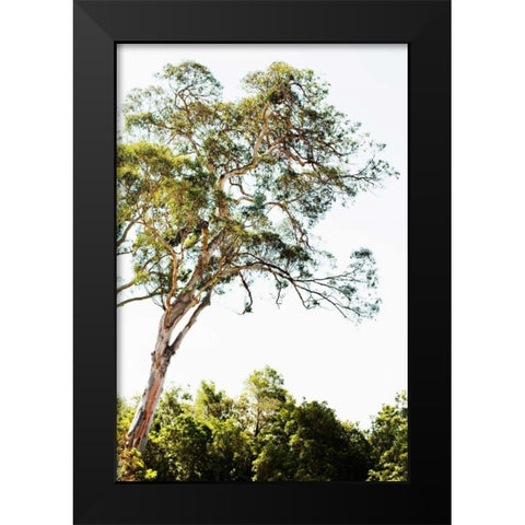 Trees V Black Modern Wood Framed Art Print by Millet, Karyn